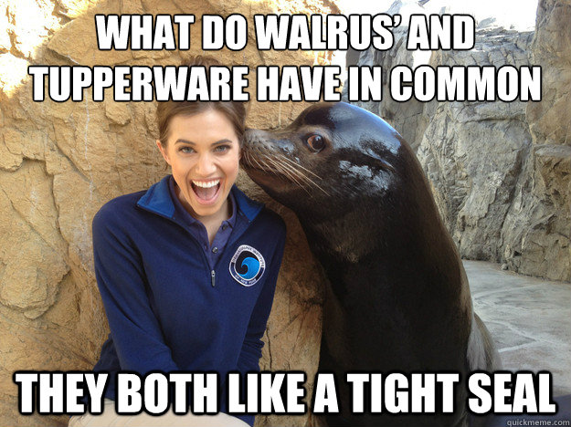 what do walrus and tupperware have in common they both like - Crazy Secret