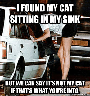 i found my cat sitting in my sink but we can say its not my - FB karma whore