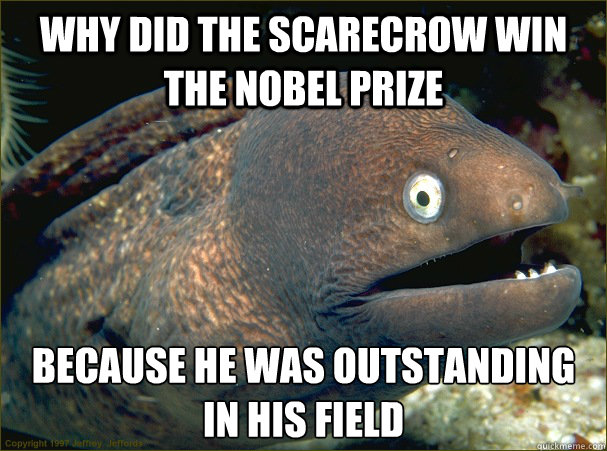 why did the scarecrow win the nobel prize because he was out - Bad Joke Eel