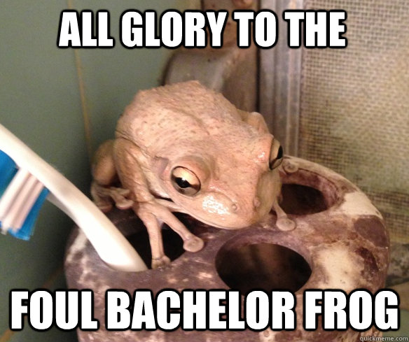 all glory to the foul bachelor frog -