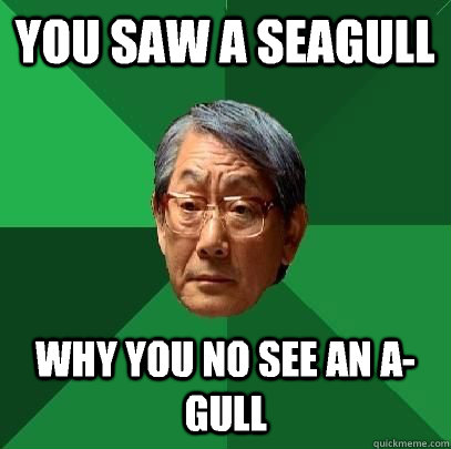 you saw a seagull why you no see an agull - High Expectations Asian Father
