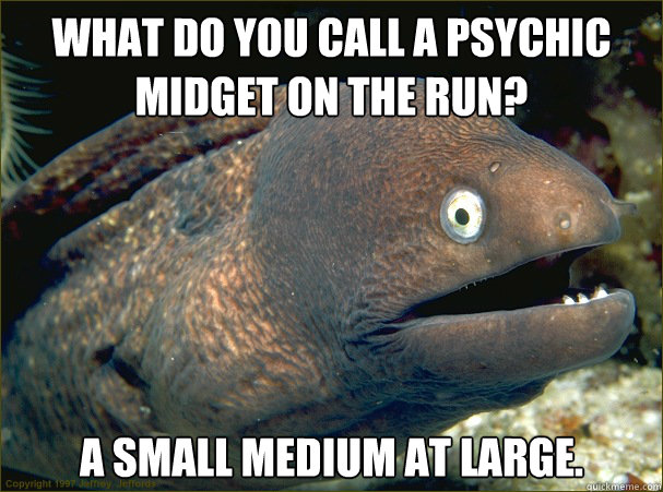 what do you call a psychic midget on the run a small medium - Bad Joke Eel