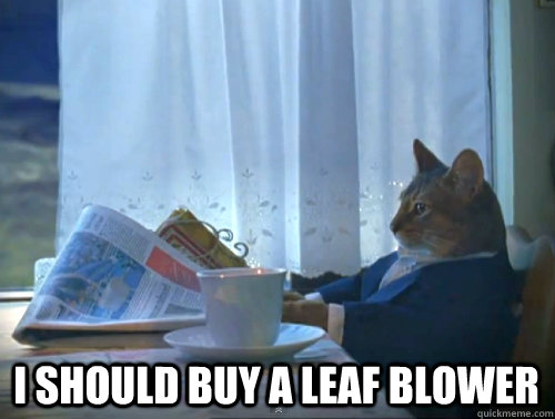 i should buy a leaf blower - The One Percent Cat
