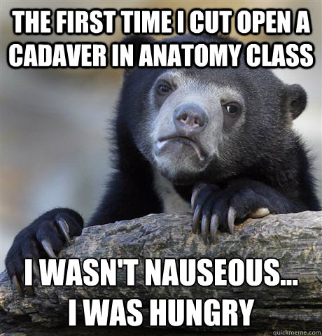 the first time i cut open a cadaver in anatomy class i wasn - Confession Bear