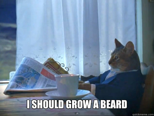 i should grow a beard - The One Percent Cat