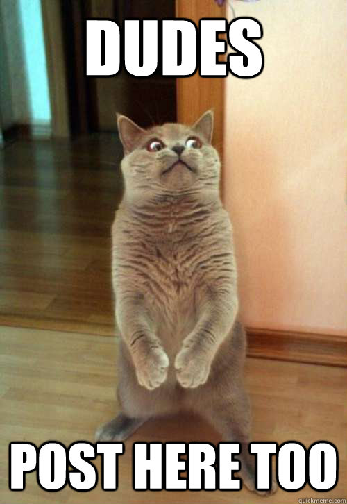 dudes post here too - Horrorcat