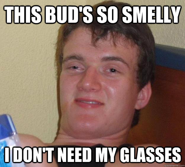 this buds so smelly i dont need my glasses - 10 Guy