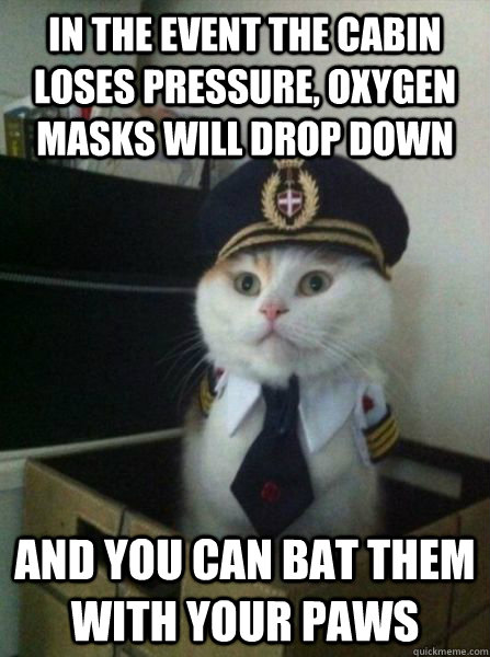 in the event the cabin loses pressure oxygen masks will dro - Captain kitteh