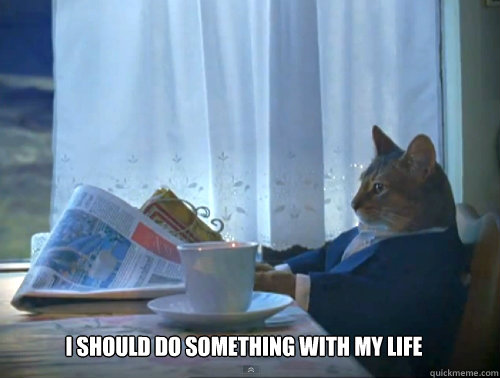 i should do something with my life - The One Percent Cat
