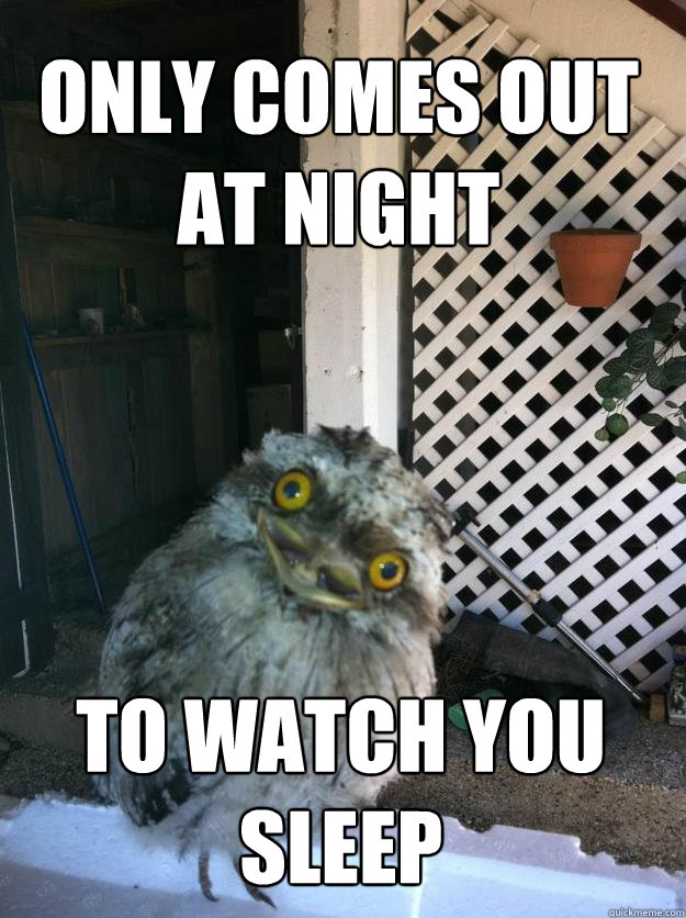only comes out at night to watch you sleep - Overly Attached Owl