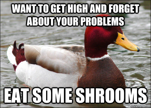 want to get high and forget about your problems eat some shr - Malicious Advice Mallard