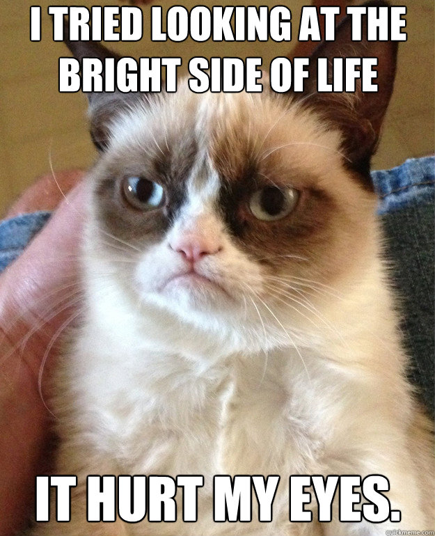 i tried looking at the bright side of life it hurt my eyes - Grumpy Cat