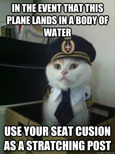 in the event that this plane lands in a body of water use yo - Captain kitteh