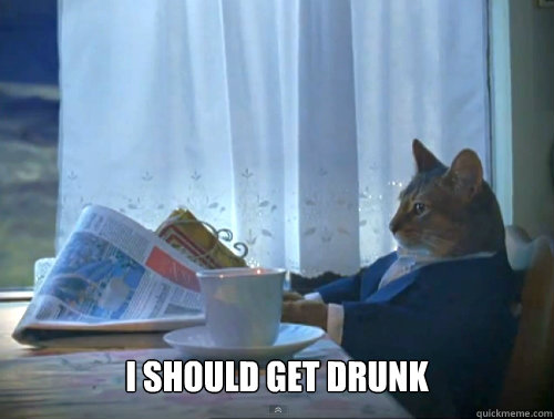 i should get drunk - The One Percent Cat