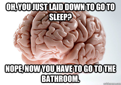 oh you just laid down to go to sleep nope now you have to - Scumbag Brain