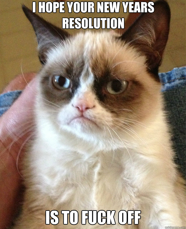 i hope your new years resolution is to fuck off - Grumpy Cat