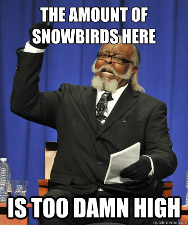 the amount of snowbirds here is too damn high - The Rent Is Too Damn High