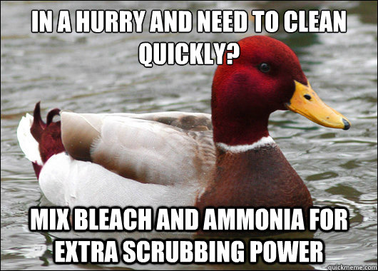in a hurry and need to clean quickly mix bleach and ammoni - Malicious Advice Mallard