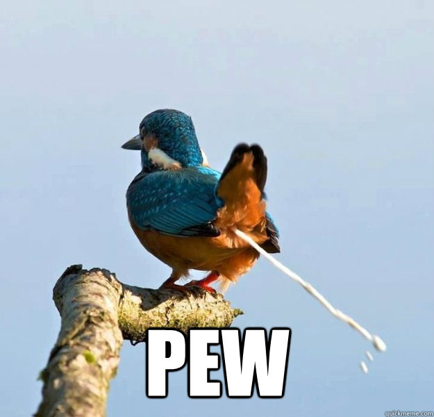 pew - Pew Bird
