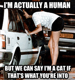 im actually a human but we can say im a cat if thats what - Karma Whore