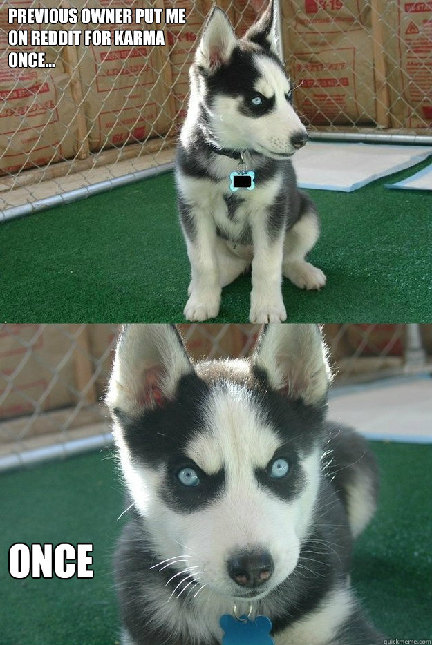 previous owner put me on reddit for karma once once - Insanity puppy