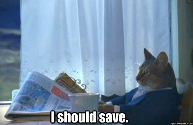 i should save - Sophisticated Cat is broke