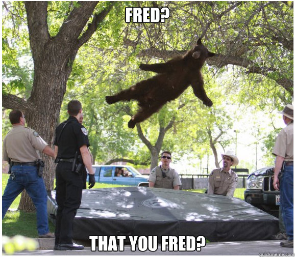 fred that you fred - Floating Bear