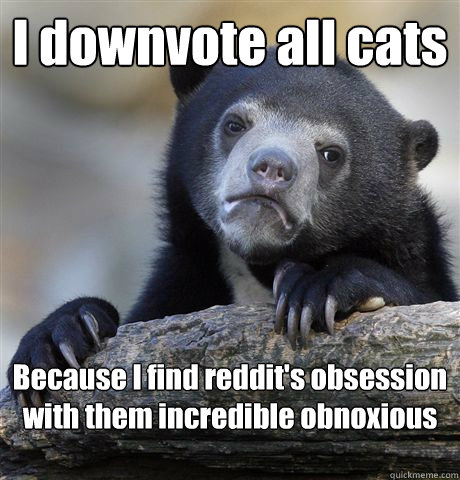 i downvote all cats because i find reddits obsession with t - Confession Bear