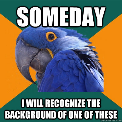 someday i will recognize the background of one of these - Paranoid Parrot