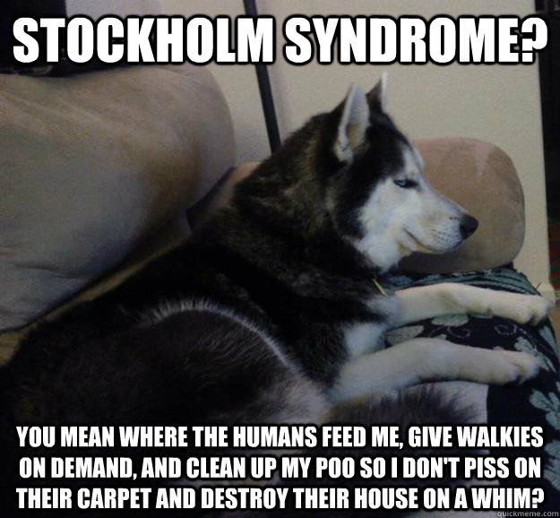 stockholm syndrome you mean where the humans feed me give - Dismissive Husky