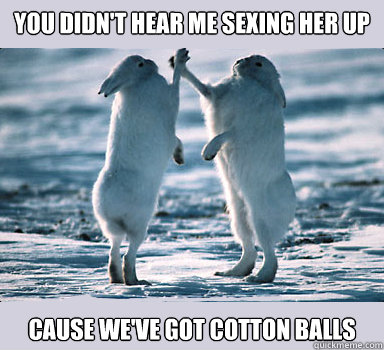 you didnt hear me sexing her up cause weve got cotton ball - Bunny Bros