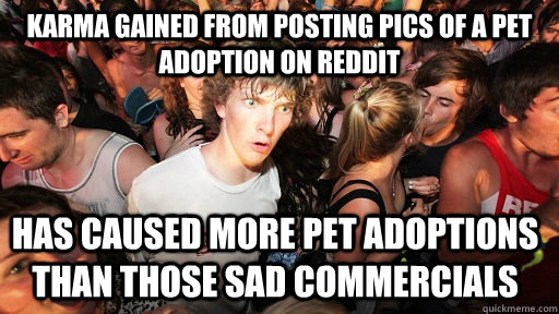 karma gained from posting pics of a pet adoption on reddit h - Sudden Clarity Clarence
