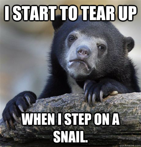 i start to tear up when i step on a snail - Confession Bear