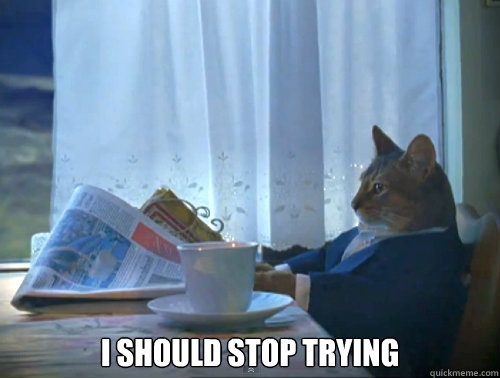 i should stop trying - The One Percent Cat