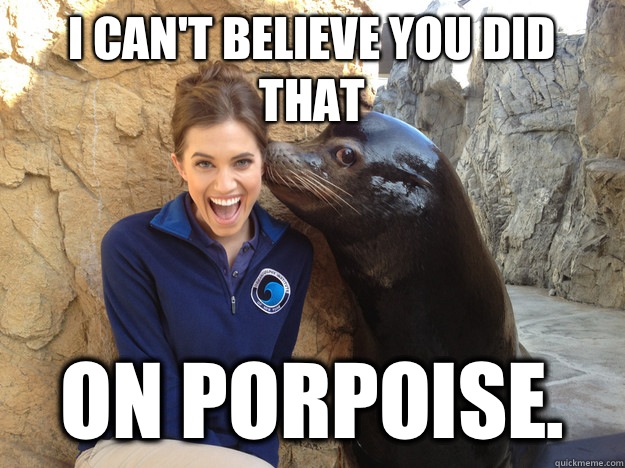 I cant believe you did that on porpoise  - Crazy Secret