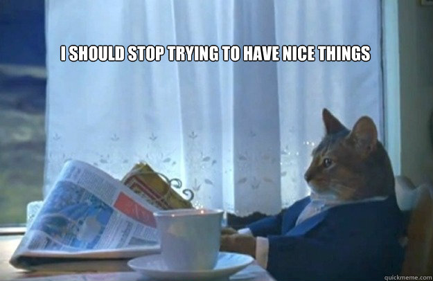 i should stop trying to have nice things - Sophisticated Cat
