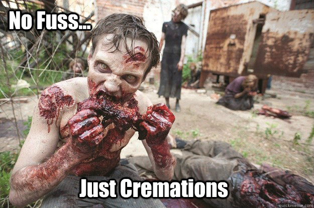 no fuss just cremations -
