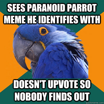 sees paranoid parrot meme he identifies with doesnt upvote - Paranoid Parrot