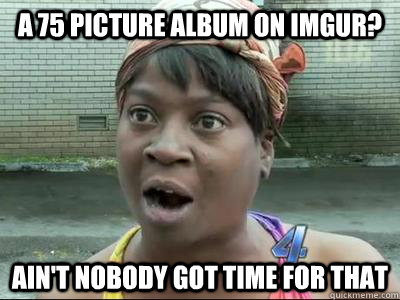 a 75 picture album on imgur aint nobody got time for that - No Time Sweet Brown