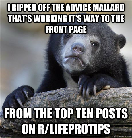 i ripped off the advice mallard thats working its way to t - Confession Bear