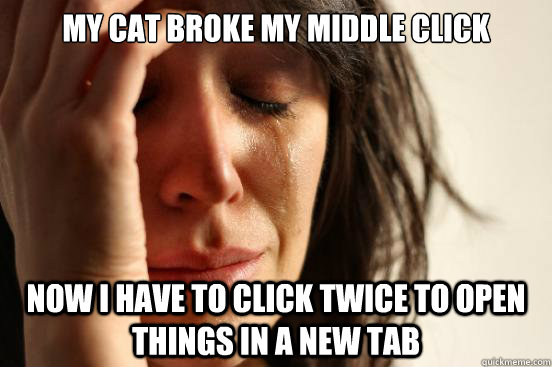 my cat broke my middle click now i have to click twice to op - First World Problems