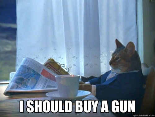 i should buy a gun - The One Percent Cat