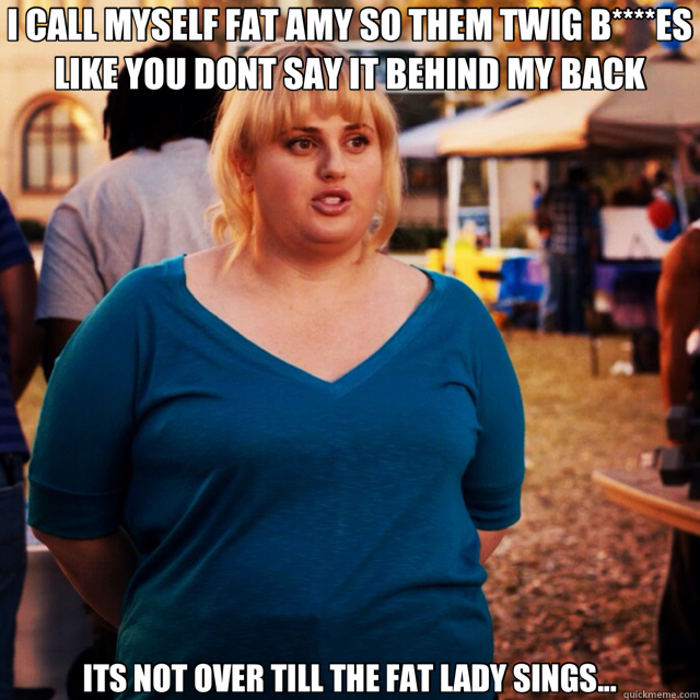 fat amy t shirt