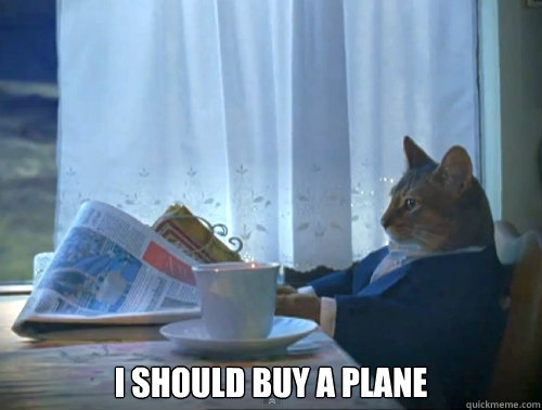 i should buy a plane - The One Percent Cat