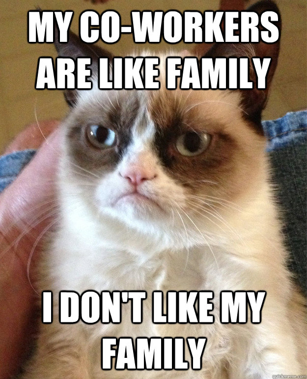 my coworkers are like family i dont like my family - Grumpy cat