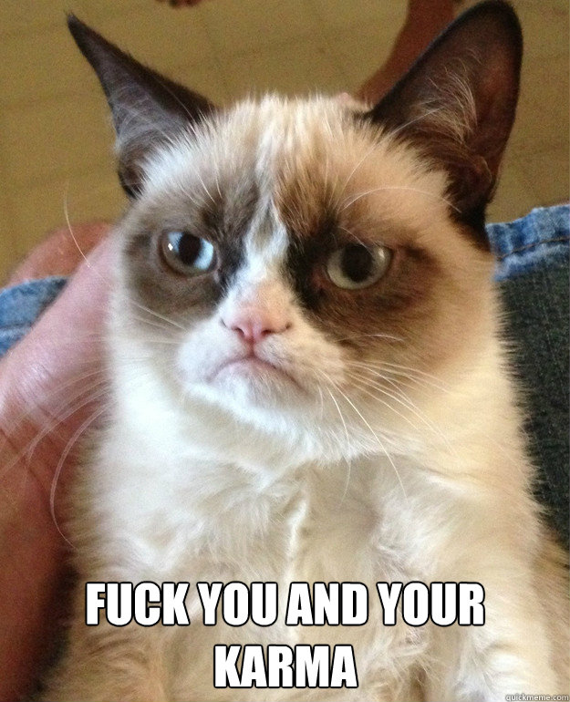 fuck you and your karma - Grumpy Cat