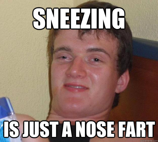 sneezing is just a nose fart - 10 Guy