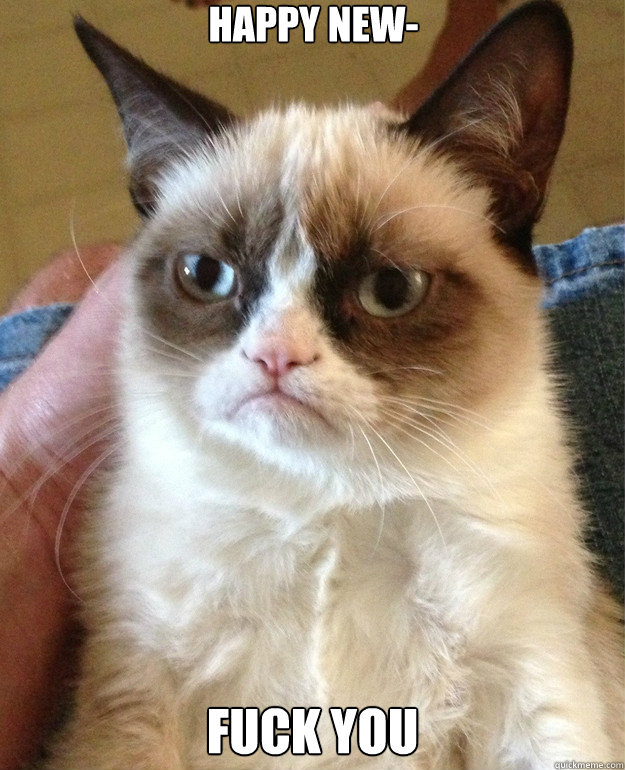happy new fuck you - Grumpy Cat