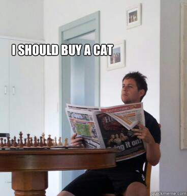 i should buy a cat - thinking things