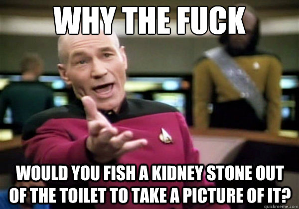 why the fuck would you fish a kidney stone out of the toilet - Why The Fuck Picard